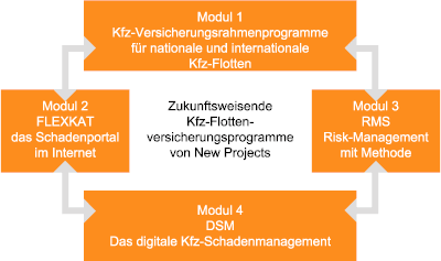 das New Projects Model
